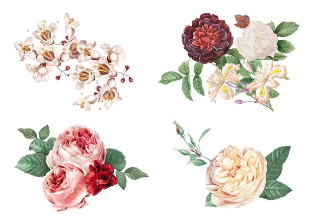 Bukiet kwiatów png kolorowy zestaw ilustracji akwarelowych