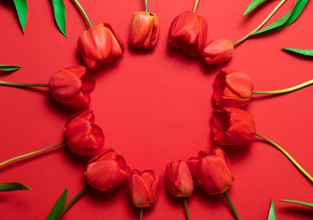 Zdjęcie bukiet kwiatów świeżych i jasnych ramki na czerwonym tle