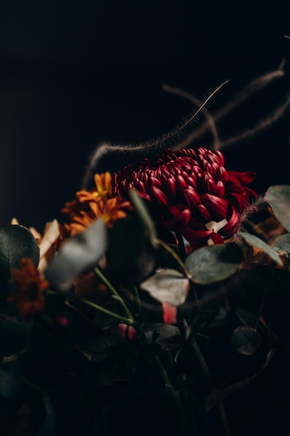 bukiet kwiatów z kroplami wody na ciemnym tle chryzantemy