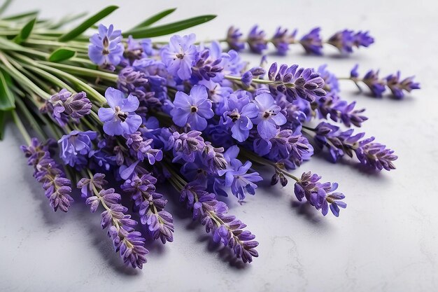Bukiet lawendowo-niebieskich kwiatów na jasnym tle
