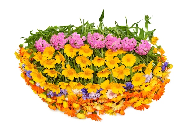 Bukiet ma piękny owalny kształt z kwiatami nagietka, koreopsis, goździka i chabrów. Żółty, pomarańczowy i niebieski. Kreatywna aranżacja. Przydatne i lecznicze zioła. Płaski układanie, widok z góry, obiekt
