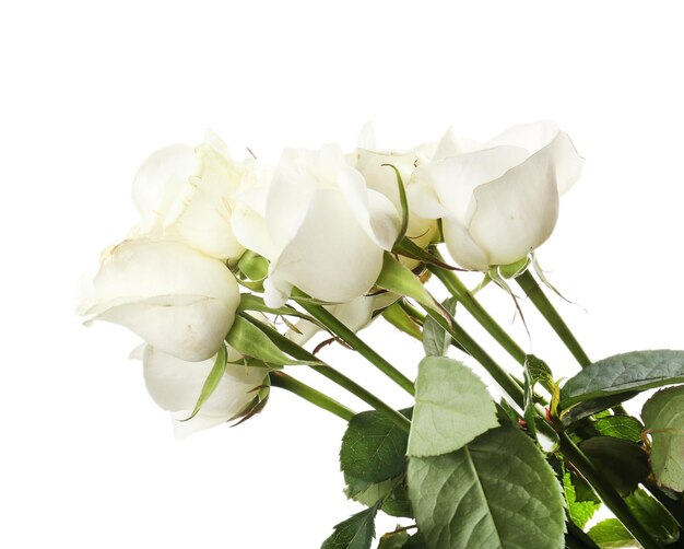 Bukiet pięknych róż na białym tle