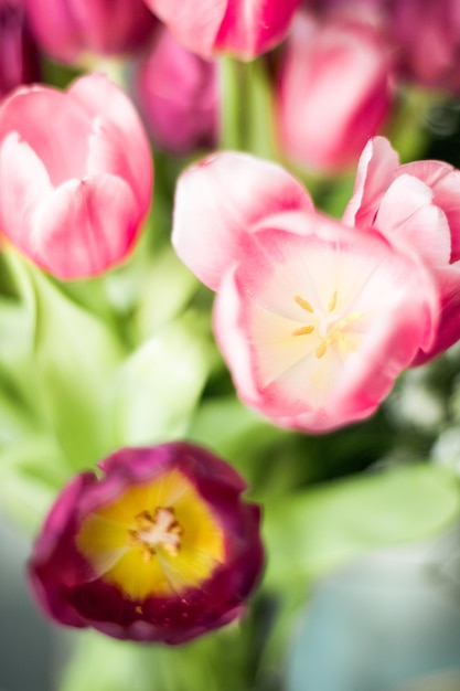 Zdjęcie bukiet pięknych tulipanów kwiatowym tle