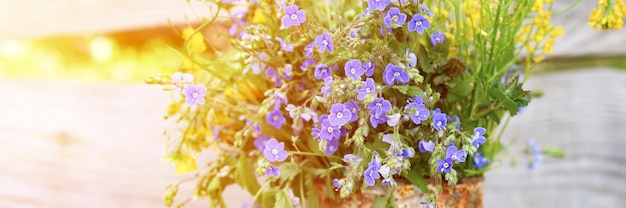 Bukiet polnych kwiatów niebieskich stokrotek i żółtych kwiatów w pełnym rozkwicie w zardzewiałym rustykalnym słoiku