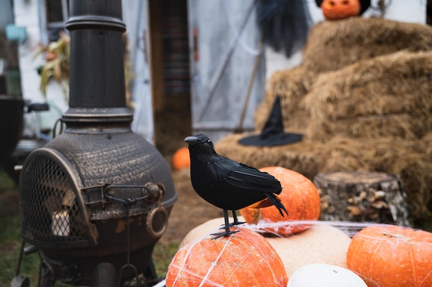 Bukiet pomarańczowych dyni na halloween duża biała czaszka czarny kruk kapelusz czarodzieja jackolantern z przerażającymi rzeźbionymi oczamiustaStóg siana w stodoleDekoracja ulicznarozrywka dla dzieci horror