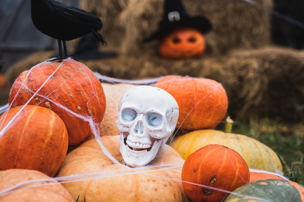 Zdjęcie bukiet pomarańczowych dyni na halloween duża biała czaszka czarny kruk kapelusz czarodzieja jackolantern z przerażającymi rzeźbionymi oczamiustastóg siana w stodoledekoracja ulicznarozrywka dla dzieci horror