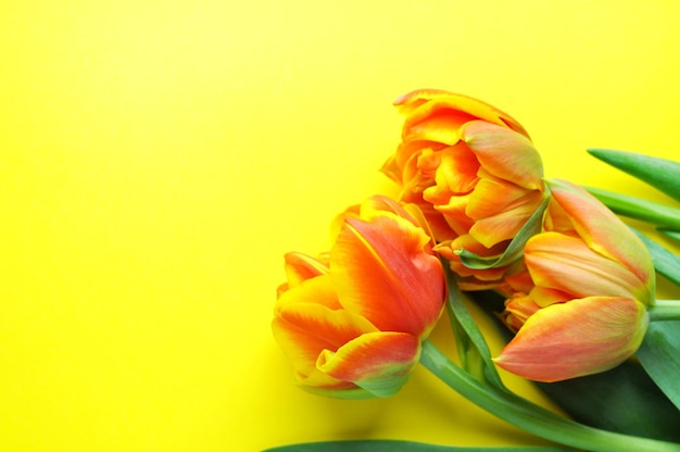Bukiet pomarańczowych i żółtych tulipanów wiosennych i miejsce na tekst