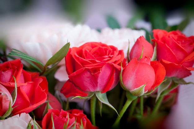 Bukiet prezentowy z czerwonymi różami i różowymi goździkami, piękne kwiaty na prezent