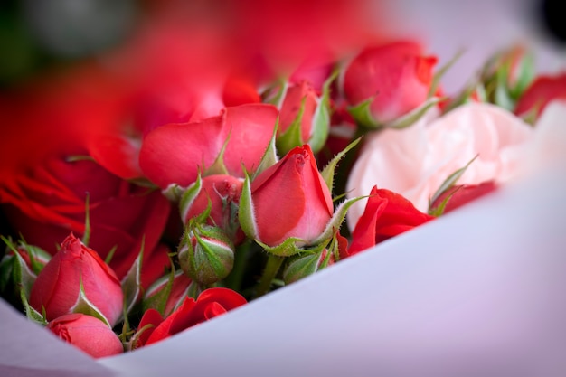 Bukiet prezentowy z czerwonymi różami i różowymi goździkami, piękne kwiaty na prezent