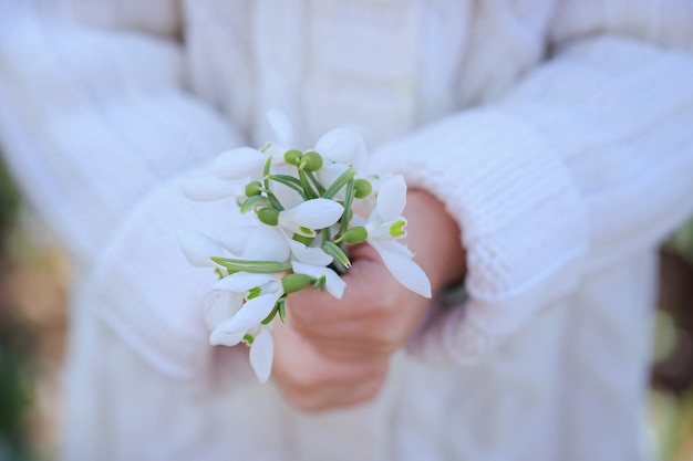Bukiet przebiśniegów w rękach małej dziewczynki. Pierwsze wiosenne kwiaty. czas Wielkanocy