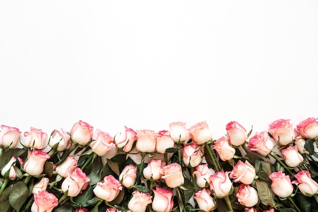 Bukiet różowych kwiatów róży na białej powierzchni