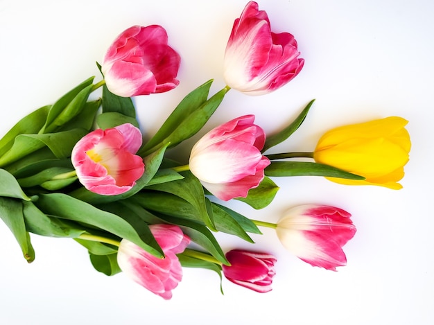 Bukiet różowych tulipanów jeden żółty kwiat kartkę z życzeniami świątecznymi