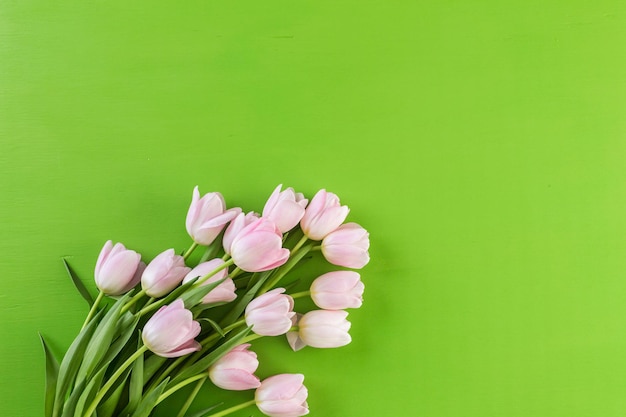 Bukiet różowych tulipanów na zielonym tle.
