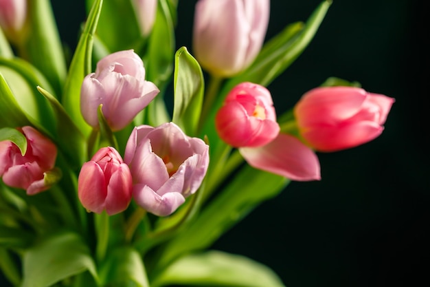 Bukiet różowych tulipanów