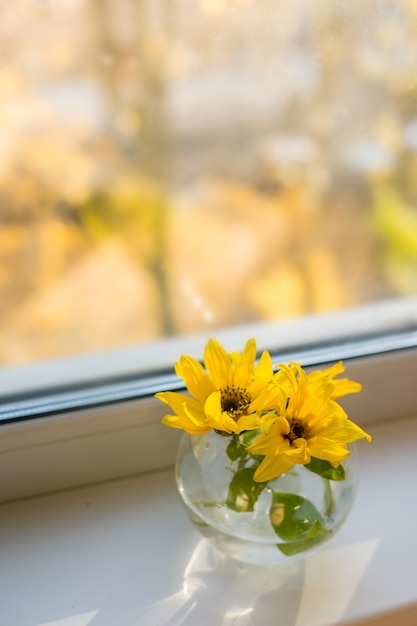 Bukiet słoneczników na oknie w domu. koncepcja naturalności i dekoracji. Zdjęcie wysokiej jakości