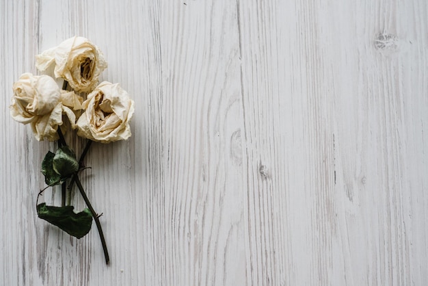 Bukiet suszonych kwiatów Kompozycja kwiatowa wykonana z suszonej róży na białym drewnianym tle Płaski widok z góry Kopia przestrzeń Miejsce na tekst i projekt
