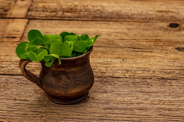 Bukiet świeżej koniczyny w ceramicznym kubku. Symbol powodzenia, koncepcja Dzień Świętego Patryka