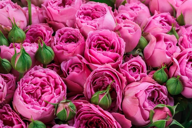 Bukiet świeżych ciemnoróżowych róż kwiatowym tle