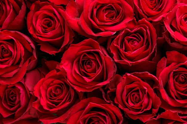 Bukiet świeżych czerwonych róż kwiatowym tle