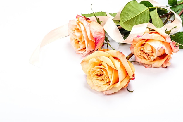 Bukiet świeżych delikatnych róż na białym tle Koncepcja romantyczny prezent delikatne kwiaty