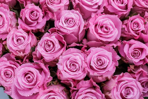 Bukiet świeżych jasnych róż w kolorze magenta kwiatowym tle