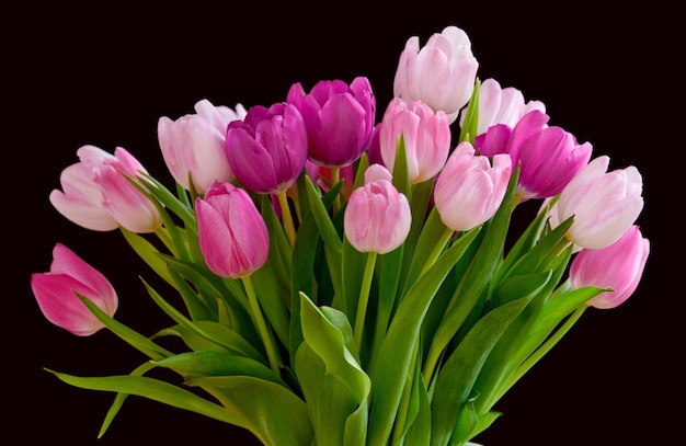 Bukiet świeżych kwiatów tulipanów na stole w pustym domu Świeże letnie różowe kwiaty symbolizujące nadzieję, miłość i wzrost Jasne kwiaty jako prezent niespodzianka lub gest przeprosin przeciwko czarnej przestrzeni
