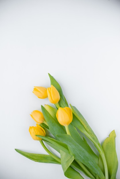 Bukiet świeżych, pięknych tulipanów ułożonych na białym