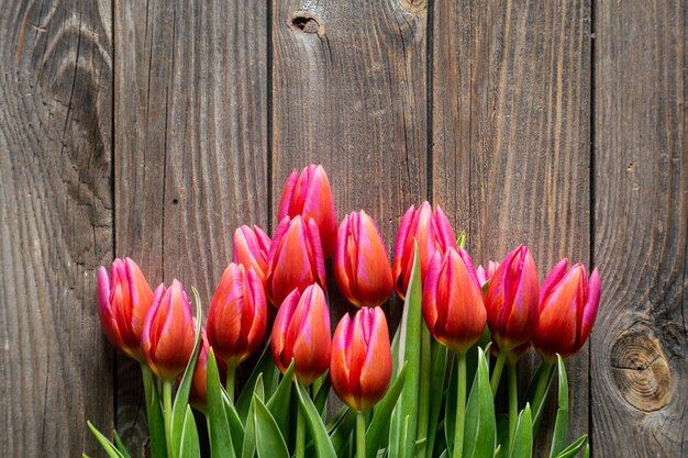 Bukiet świeżych różowych tulipanów na drewnianym tle z góry