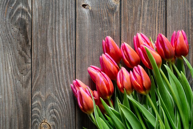 Bukiet świeżych różowych tulipanów na drewnianym tle