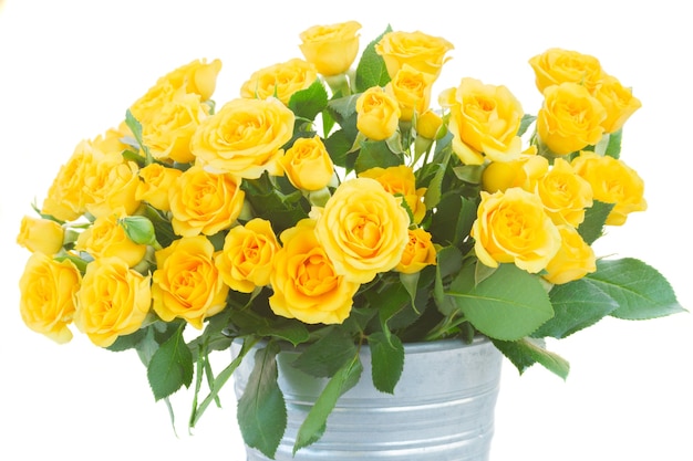 Bukiet świeżych żółtych róż z zielonymi liśćmi w metalowej doniczce z bliska na białym tle