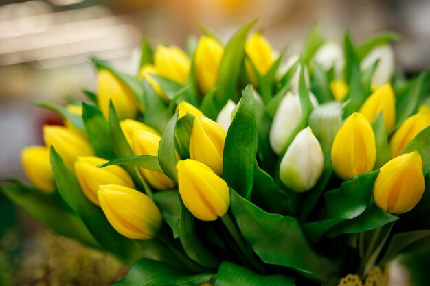 Bukiet świeżych żółtych tulipanów.