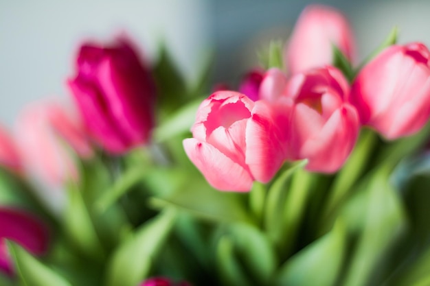 Bukiet tulipanów ślub wakacje i kwiatowy ogród w stylu koncepcji
