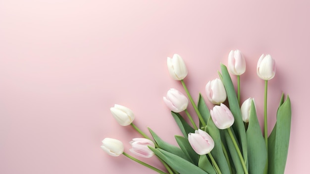 Bukiet tulipanów ułożony na miękkim różowym tle