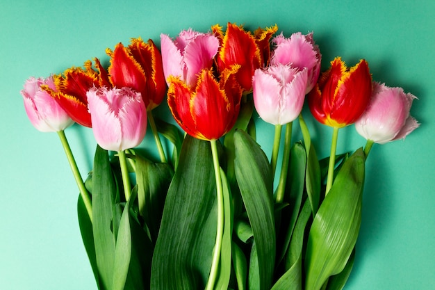 Bukiet tulipanów wiosna kwitnie na koloru świątecznym tle