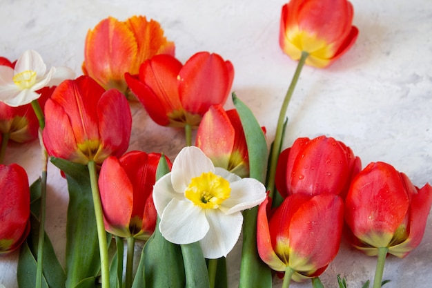Bukiet wiosennych kwiatów czerwonych tulipanów