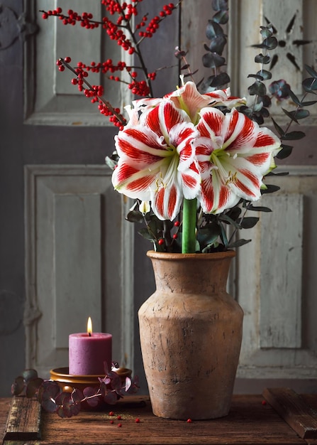Bukiet z czerwono-białego kwiatu Amarylis eukaliptusa i gałązek czerwonego ostrokrzewu w ceramicznym wazonie