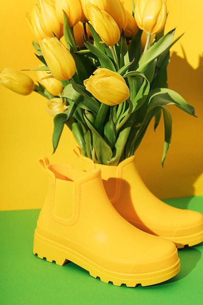 Bukiet żółtych tulipanów w żółtych kaloszach jako wazon na żółtym i zielonym tle z ostrymi cieniami Kreatywna wiosenna kompozycja kwiatowa Tapeta botaniczna Wystrój domu