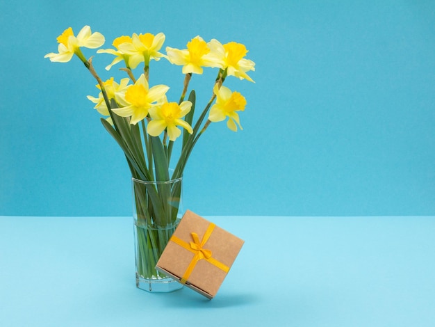 Bukiet żółtych żonkili w szklanym wazonie i prezentowym pudełku na niebieskim tle