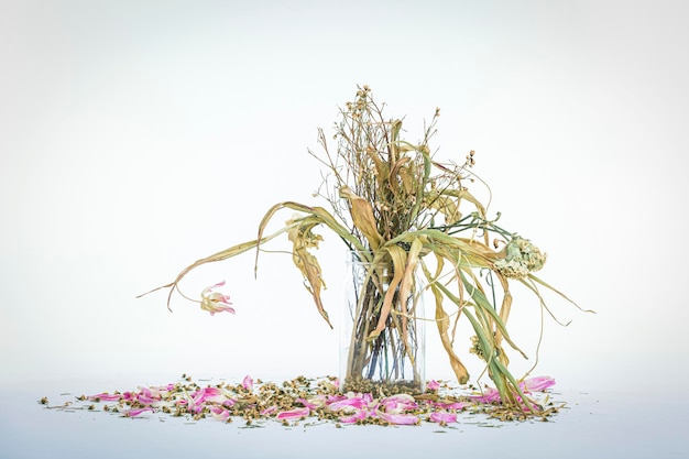 Bukiet zwiędłych kwiatów w przezroczystym szklanym wazonie Vintage filtrowany