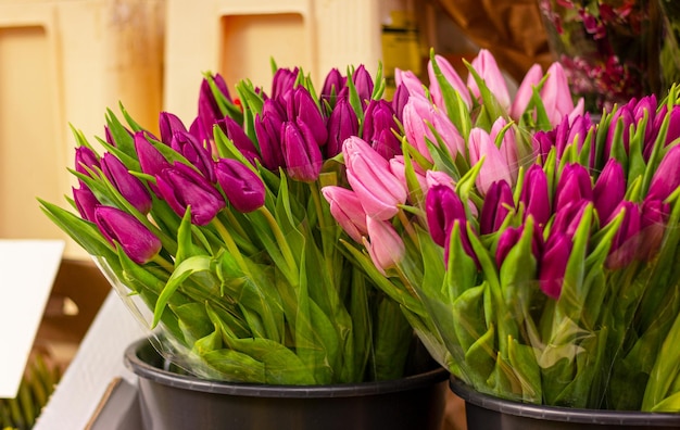 Bukiety wiosennych różowych kwiatów tulipanów w kwiaciarni