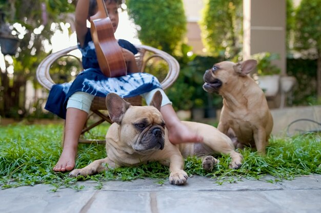 Buldog Francuski Leżący Obok Małej Dziewczynki, Która Gra Na Ukulele W Ogrodzie