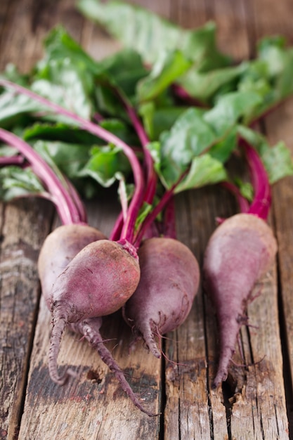 Bunch Baby Beets with foliage