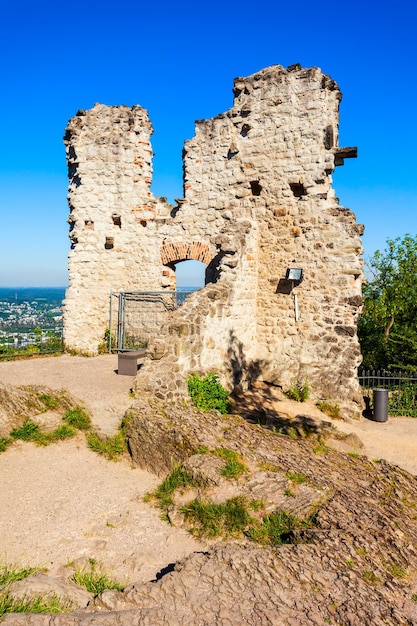 Burgruine Drachenfels Ruiny zamku Bonn