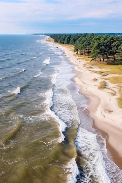 Burzliwe fale na Morzu Bałtyckim latem widok z powietrza na przyrodę