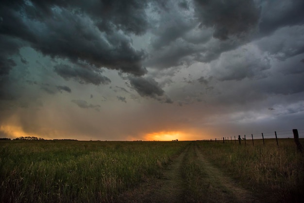 Burzliwe niebo w nocy pampas La Pampa Prowincja Patagonia Argentyna