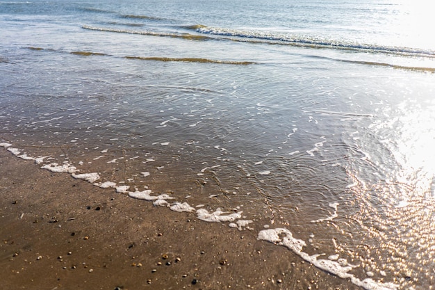 Burzliwy dzień nad Morzem Północnym Plaża nad Morzem Północnym Zimny dzień nad Morzem Północnym