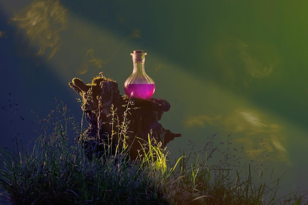 Butelka magicznych mikstur w magicznym lesie