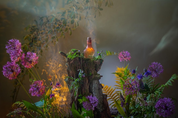 Butelka magicznych mikstur w magicznym lesie