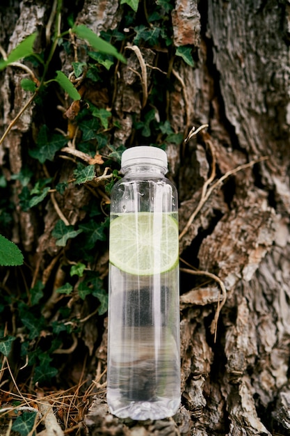 Butelka na wodę z plasterkiem cytryny stoi przy pniu drzewa