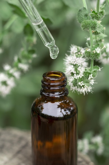 Butelka olejku miętowego na pniu drzewa Eteryczne serum kolagenowe dla urody Kosmetyki z naturalnymi składnikami